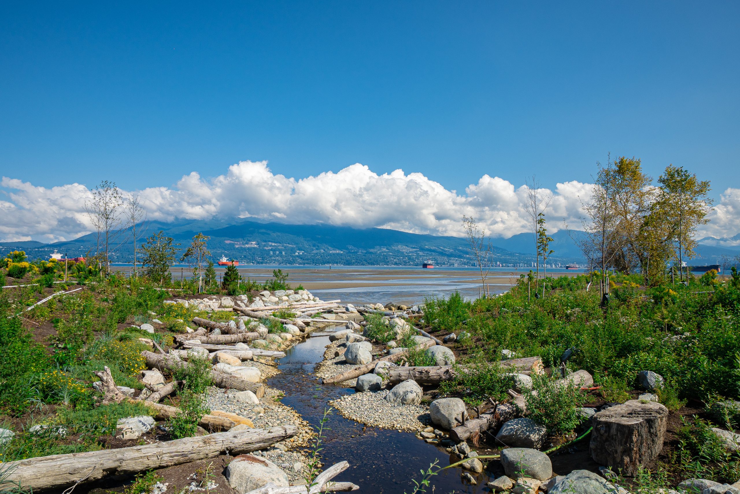 Canyon Creek Daylighting Project