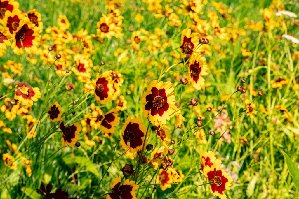 Empowering People, Strengthening Communities