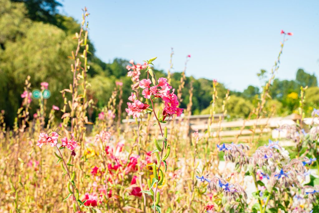 Landscapes That Support Life and Colour