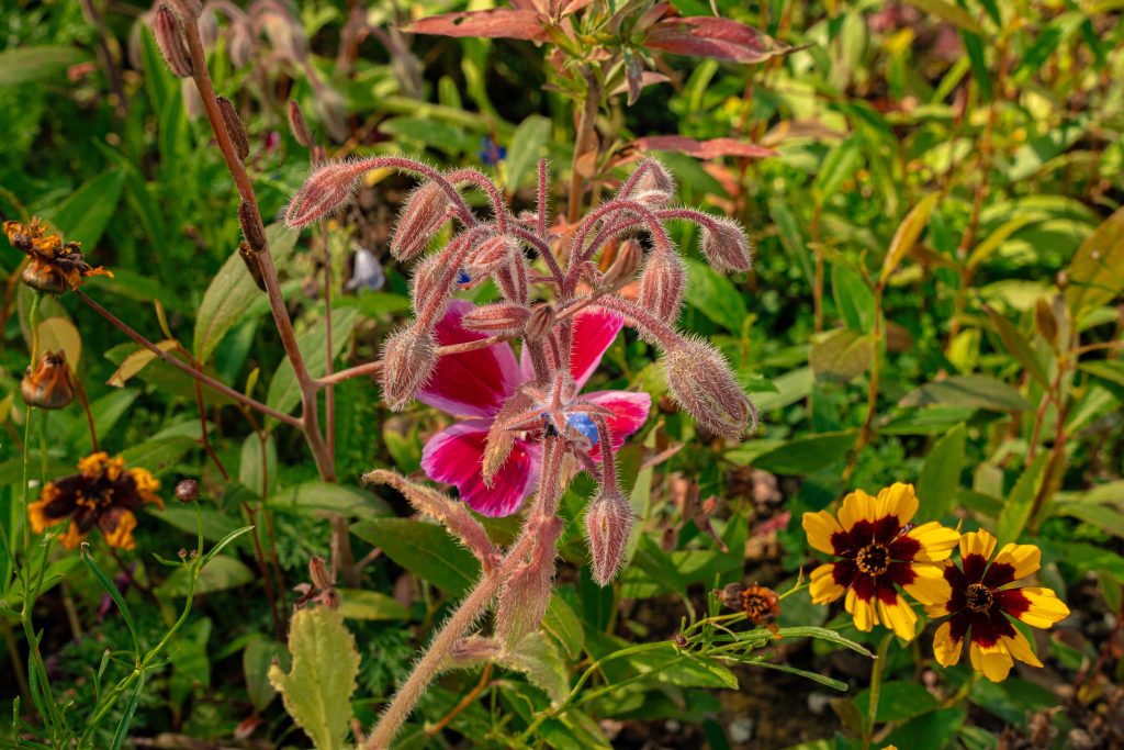 Managing Water, nurturing the land